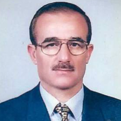 Veli ERDOĞAN